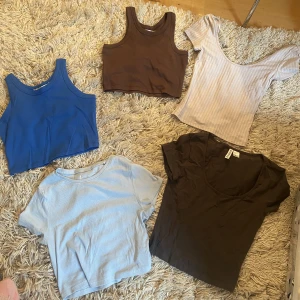 Toppar - Säljer alla dessa toppar 30kr/styck alt.  alla för 130kr. Skriv privat vid frågor kring någon specifik tröja!💕