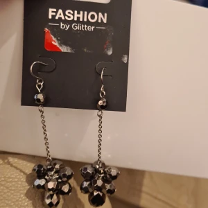 Nya örhängen  - Långa örhängen med krok. Detaljerna dom jämger löngst net som servut som kladsr är av plast