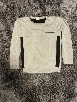 Tröja - En tjock tröja utan luva  Säljer pga att den är för liten inga hål eller smuts fläckar