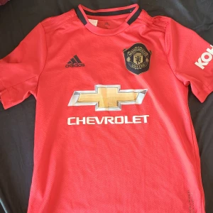 Manchester united 2019 tröja - Manchester united 2019 inget namn för barn