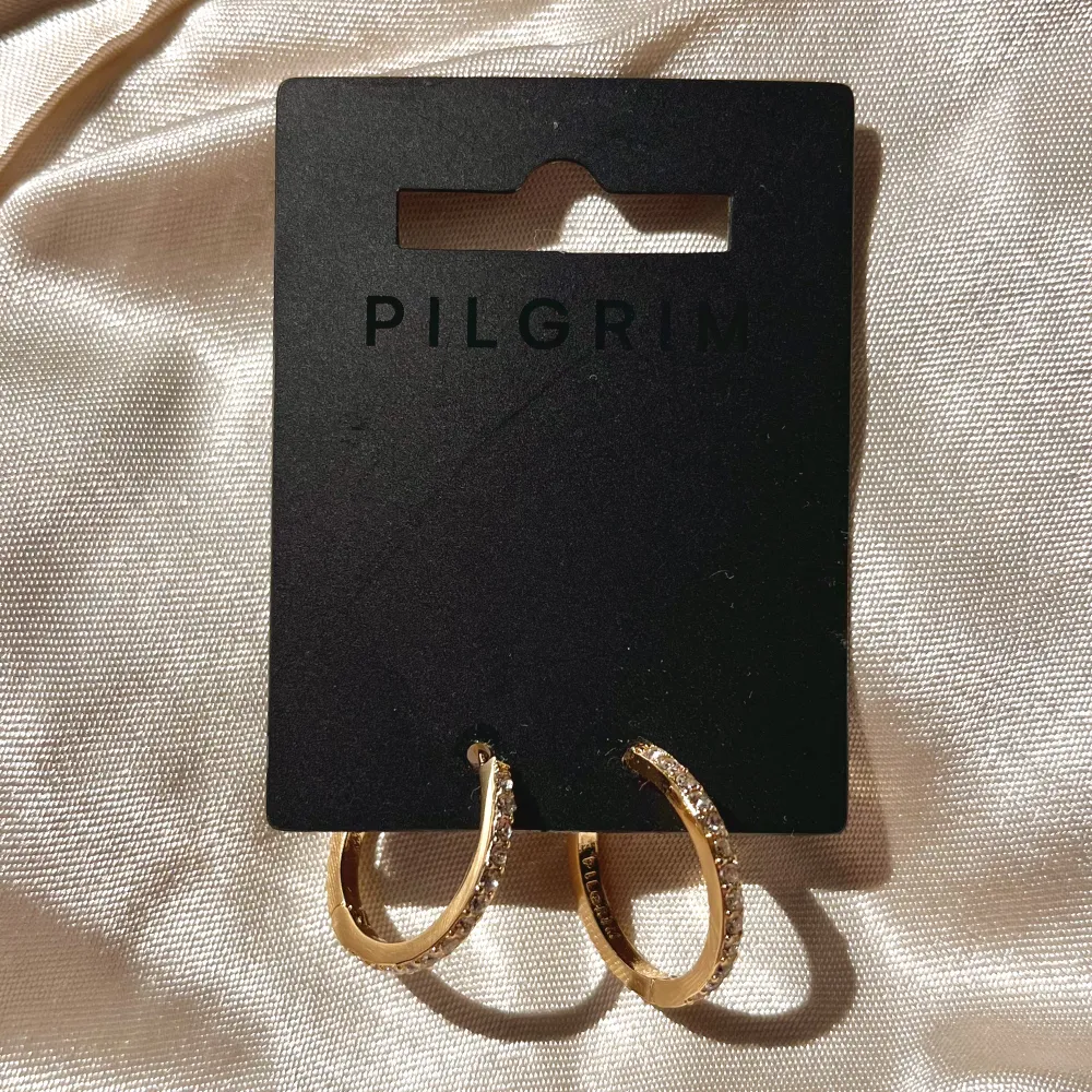 Säljer dessa helt nya guldpläterade örhängen från pilgrim. Nypris 300kr säljer för 145kr inklusive frakt ☺️ (!! Klicka inte på ”köp direkt” !!). Accessoarer.