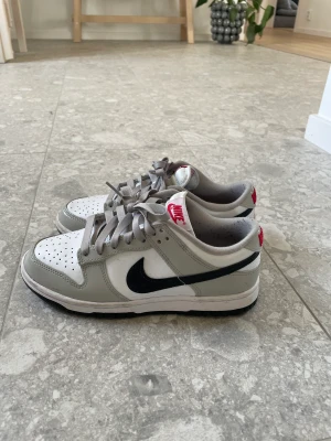 Nike dunk low  - Nike dunk low använda en gång säljes pga för liten storlek. 