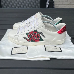 Gucci ace skor - Tjena, säljer nu dessa riktigt snygga och populära Gucci ace skorna i mycket bra skick, finns lite crease och snörena är lite smutsiga på ett visst ställe (se bilderna), 2 dustbags ingår, hör av er vid frågor och funderingar🙌🤝