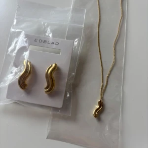 Guldfärgat smyckeset från Edblad - Helt oanvänt smyckeset från Edblad med matchande örhängen och halsband i guldfärg. Båda har en vågig design.