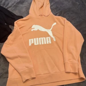 Persikofärgad hoodie från Puma - Säljer en snygg persikofärgad hoodie från Puma med stor vit logga och puma-tryck på bröstet. Tröjan har huva med snörning och en klassisk känguruficka framtill. Perfekt för chill dagar eller när du vill ha en sportig look. Mycket fint 