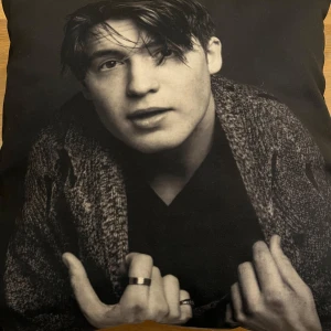 Kit Connor kudde  - Säljer en Kit Connor kudde. Han är med i Heartstopper, Den vilda roboten och Rocketman. Kudden är ungefär 40 cm på alla sidor. Man kan ha den som prydnad som tex i sin säng eller soffa! 