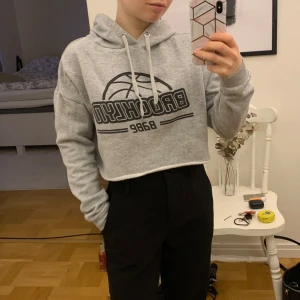 Grå croppad hoodie med tryck - Säljer en ljusgrå croppad hoodie med huva. Långärmad och loose fit.