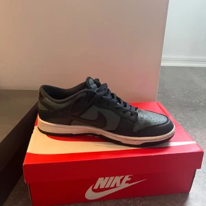 Nike Dunk Low - Säljer ett par Nike Dunk Low sneakers. Klassisk låg modell med snörning och rund tå. Perfekta för dig som gillar streetwear och vill ha en stilren look.