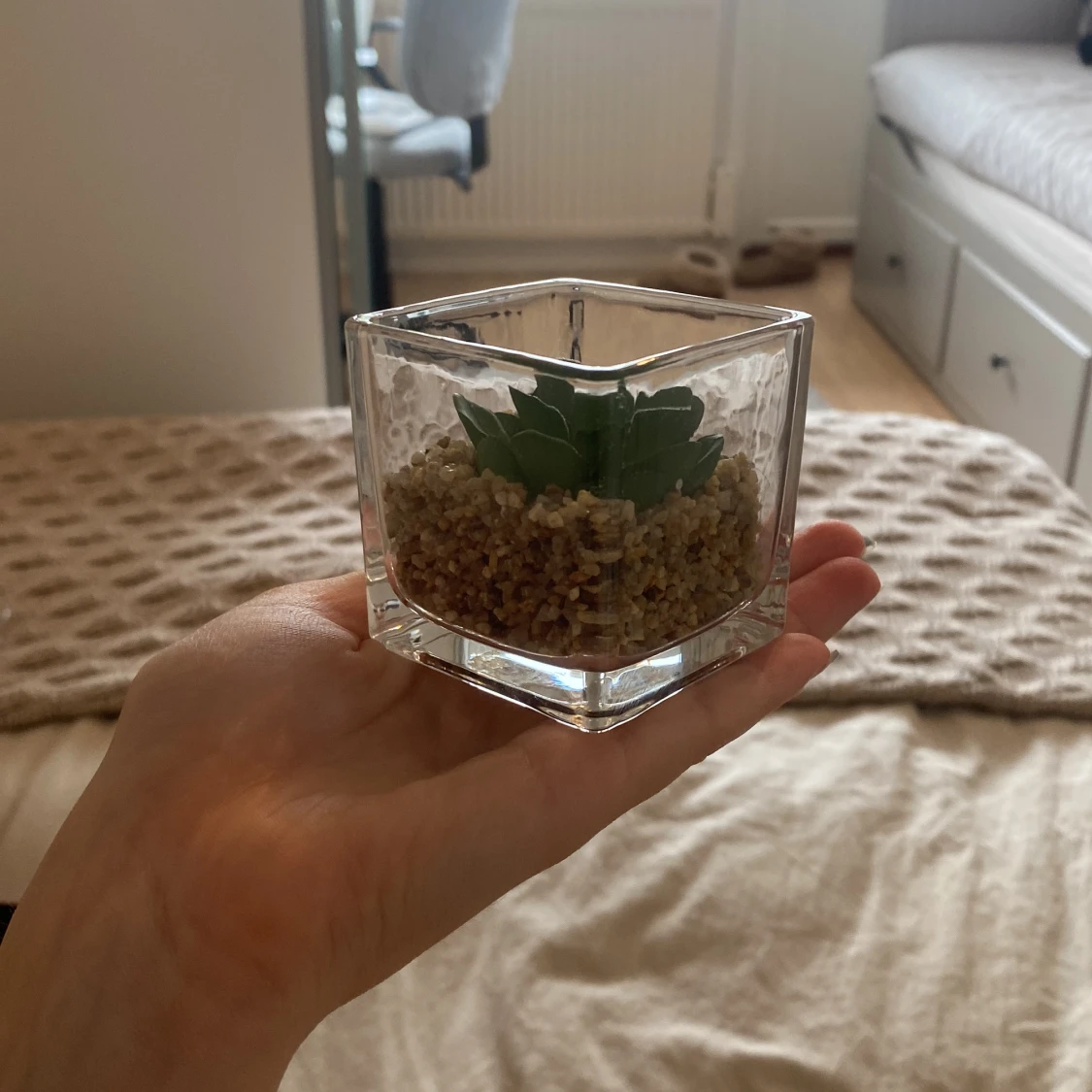 En fejk växt 🪴  - 2