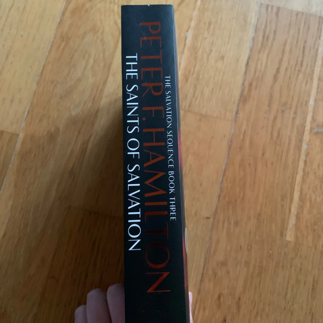 The Saints of Salvation - 1