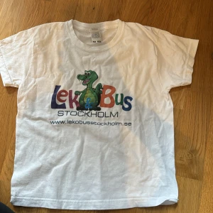 Vit Lek & Bus Stockholm t-shirt - Vit t-shirt från Gildan med färgglatt Lek & Bus Stockholm-tryck och en grön drake på bröstet. Klassisk rund hals och korta ärmar. Materialet är mjuk bomull, perfekt för chill dagar eller häng med kompisar.