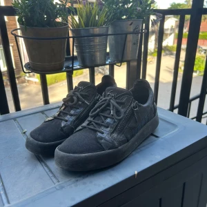 giuseppe zanotti - Ett par giuseppe zanotti skor i storlek 42