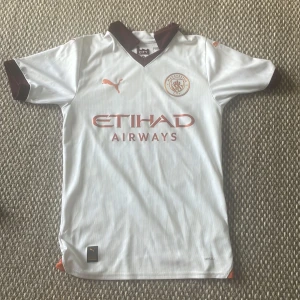 Manchester City vit bortatröja Puma - Snygg Manchester City bortatröja från Puma i vitt med mörkbruna detaljer på krage och ärmslut. Tröjan har korta ärmar, klassisk V-ringning och tryck med Etihad Airways på bröstet. Tillverkad i lätt och ventilerande material, perfekt för match eller träning.