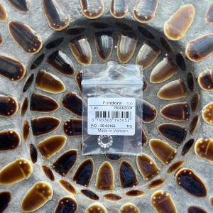 Pandora silverfärgad pärlberlock - Säljer en snygg silverfärgad berlock från Pandora. Den är rund med små blommor runt hela och passar perfekt till armband från samma märke. Stilren och enkel att matcha med andra smycken. Helt oanvänd!