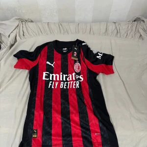 AC Milan Modric 14 Puma fotbollströja - AC Milan fotbollströja från Puma med Modric och nummer 14 på ryggen. Klassiska röda och svarta vertikala ränder, klubbmärke broderat på bröstet och Emirates Fly Better-tryck på framsidan. Tillverkad i lätt och ventilerande polyester med DryCell-teknologi. Är i storlek S men passar M också. Pris kan diskuteras 