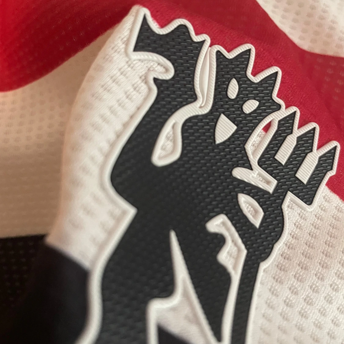 Manchester United Mainoo #37 Adidas tröja - 2