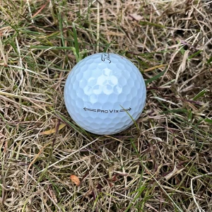 Säljer PRO v1 för 15kr styck har ganska många - Bilderna visar en golfboll av modellen Titleist Pro V1x, placerad i gräs och mot ett träd.