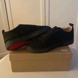  Christian Louboutin - Haft i 1 år dom är i bra skick storlek 46