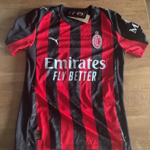 AC Milan Puma matchtröja röd/svart - AC Milan matchtröja från Puma med klassiska röda och svarta ränder, klubbmärke och sponsortryck. Kortärmad modell i lätt och ventilerande polyester. Nummer 10 och namnet JANA på ryggen. Perfekt för dig som älskar italiensk fotboll och vill sticka ut på läktaren.