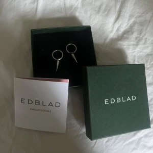 Edblad örhängen med spike-detalj - Snygga örhängen från Edblad i silver, bra skick och har ägd dom i ungefär ett halvår men inte använt konstant. hör av dig vid frågor 🥰
