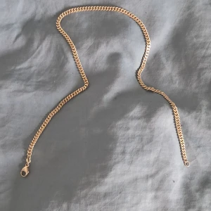 Silver halsband - Äkta silver halsband från guldfynd, pansar kedja. Kostar 750kr nytt och detta är typ helt nytt. Det är 45cm långt