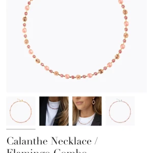 Caroline Svedbom Calanthe  - Säljer detta fina halsband jag fick i födelsedagspresent, nypris ligger på 1695kr.  Säljer för 1300kr, vid snabb affär kan pris diskuteras! Kommer i original låda. Material är mässing med 18 karats guldplätering