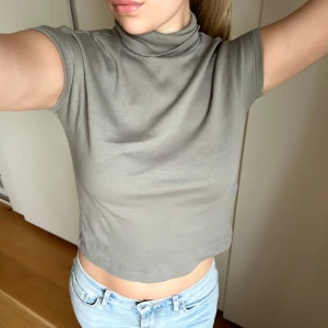 Grå/grön croppad polotopp - Säljer en  grå/grön croppad polotopp med korta ärmar från zara. Toppen är ribbad och har en tight passform.