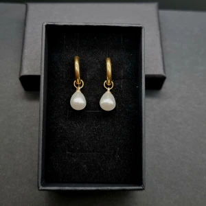 Örhängen  - Rostfritt stål och pärlor 