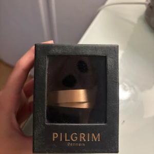 Armband från Pilgrim - Ett helt oanvänt armband från pilgrim, Rosé guld och jätte fint!