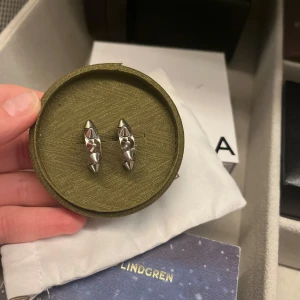 Edblad örhängen  - Snygga örhängen från Edblad. Nyskick, nästan aldrig använda! 🩷