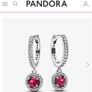 Silverörhängen med röda stenar från Pandora - Silverörhängen från Pandora med gnistrande röda stenar😍Örhängena är bara några gånger använda. Nypris: 99 euro 🥰