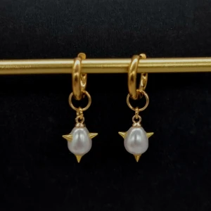 Handgjorda örhängen  - Handgjorda unika örhängen.  Rostfritt stål och plastpärlor.  Längd:3cm