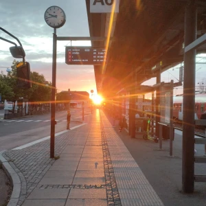 Hoodie  - Köp hoodien igen