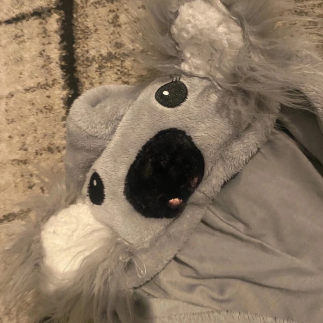 Grå koala onesie från Lindex , 146/152 - 3