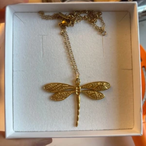 Halsband med trollslända i guld - Säljer ett fint halsband med en detaljrik trollslända som hänge. Halsbandet är i guldig färg och har en tunn kedja.❤️