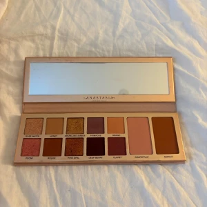 Anastasia Primrose Palette - Bara repig på utsidan 
