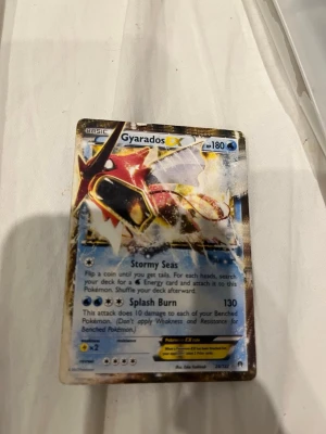 Ingen väst på bilden - Bilden visar ett Pokémonkort (Gyarados EX) och inte en väst. Kan därför inte ge någon beskrivning av väst eller matchande taxonomier.