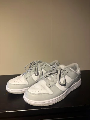 Nike Dunk Low vit/grå sneakers - Skorna är använda 1 gång så i princip helt nya.