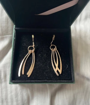 Örhänge brons/rose  - Bilden visar ett par örhängen i brons/ rosé. Jätte fina! 