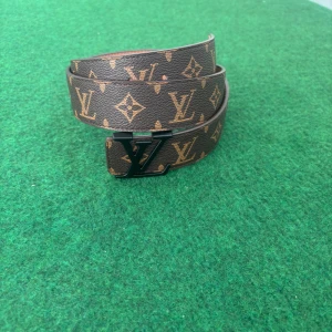 Brunt bälte  - Ett helt nytt bälte 