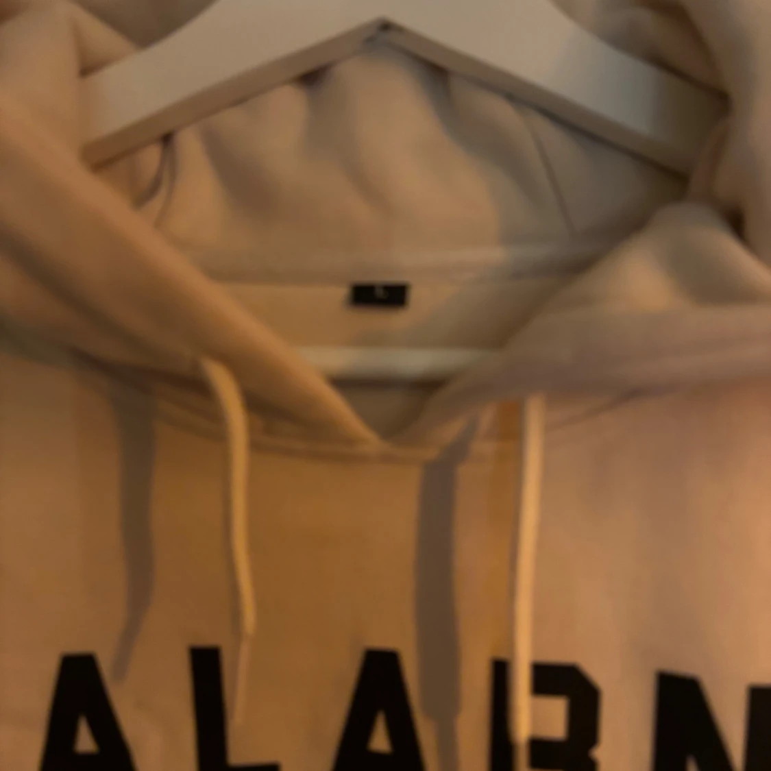 Beige hoodie Dalarna County Project L - 1
