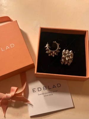 Silver peak örhängen Edblad  - Oanvända örhängen från Edblad som är helt slutsålda💓💓