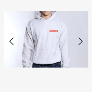 Ljusgrå hoodie med tryck från Andiamo - Säljer en ljusgrå hoodie från Andiamo med röd text på bröstet och ett stort Après ski-tryck på ryggen. Tröjan har huva och magficka. Denna hoodie är slut i lager 