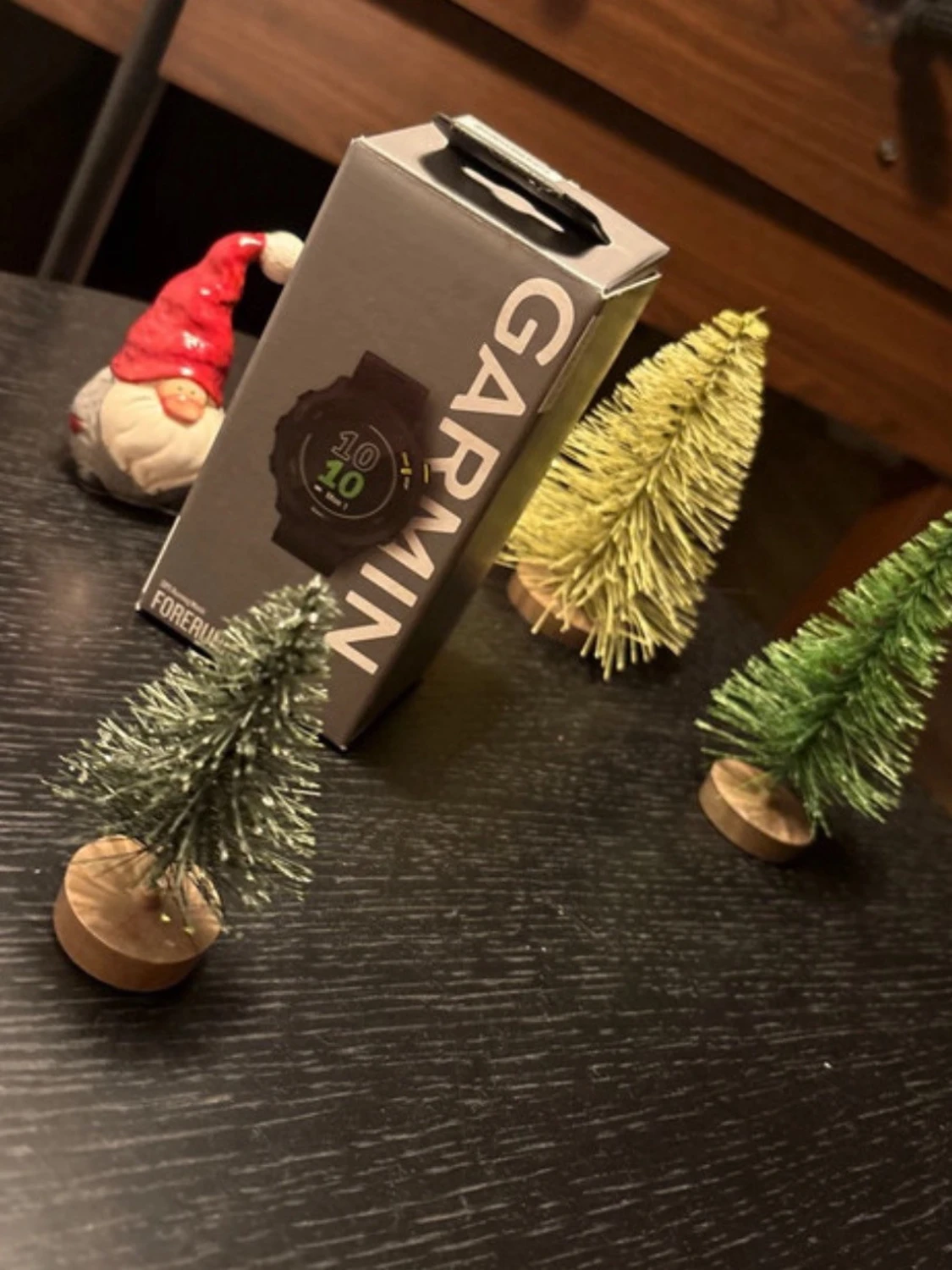 Garmin Forerunner 55 - 1