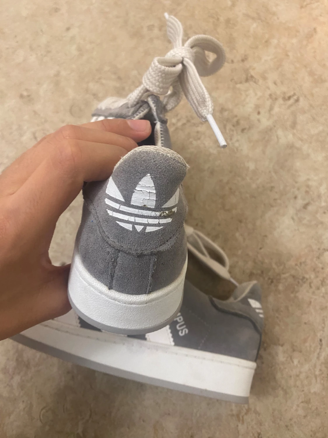 Grå Adidas Campus sneakers - 3