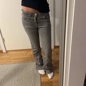 Grå bootcut jeans med låg midja - Säljer ett par grå jeans med bootcut och låg midja. Jeansen har klassiska fem fickor, dragkedja och knapp framtill. De har en stilren, enkel look som passar till det mesta. Kan skicka mått privat vid intresse!