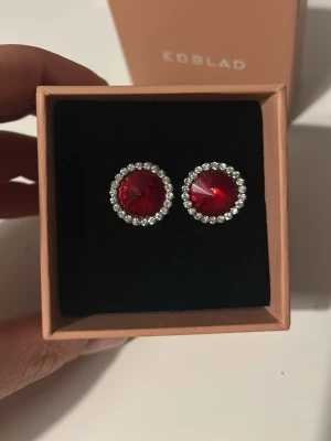 Röd glittriga örhängen! - Säljet ett par supersnygga örhängen!!