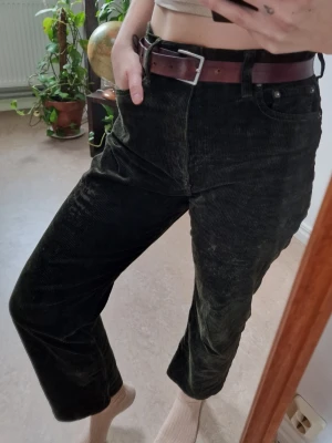 Green manchester pants - Ralph lauren - Green manchester pants from Ralph lauren. Defects on the left thigh, where the manchester is rubbed off - see picture - thereby the price. Perfect for a flip or if you don’t care about it :) Length: 96 cm. US size 10, EU size 38