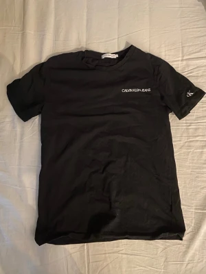 Calvin Klein t-shirt - En Calvin klein som har text på bröstet och ärmen 