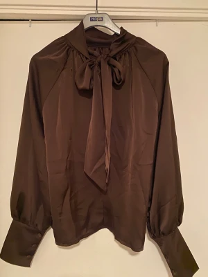 Brun blus med knytband i halsen - Snygg brun blus i glansigt material med knytband i halsen och långa puffiga ärmar med breda manschetter. Perfekt för dig som gillar en chic och elegant look. Blusen har en lös passform och fina detaljer vid axlarna.